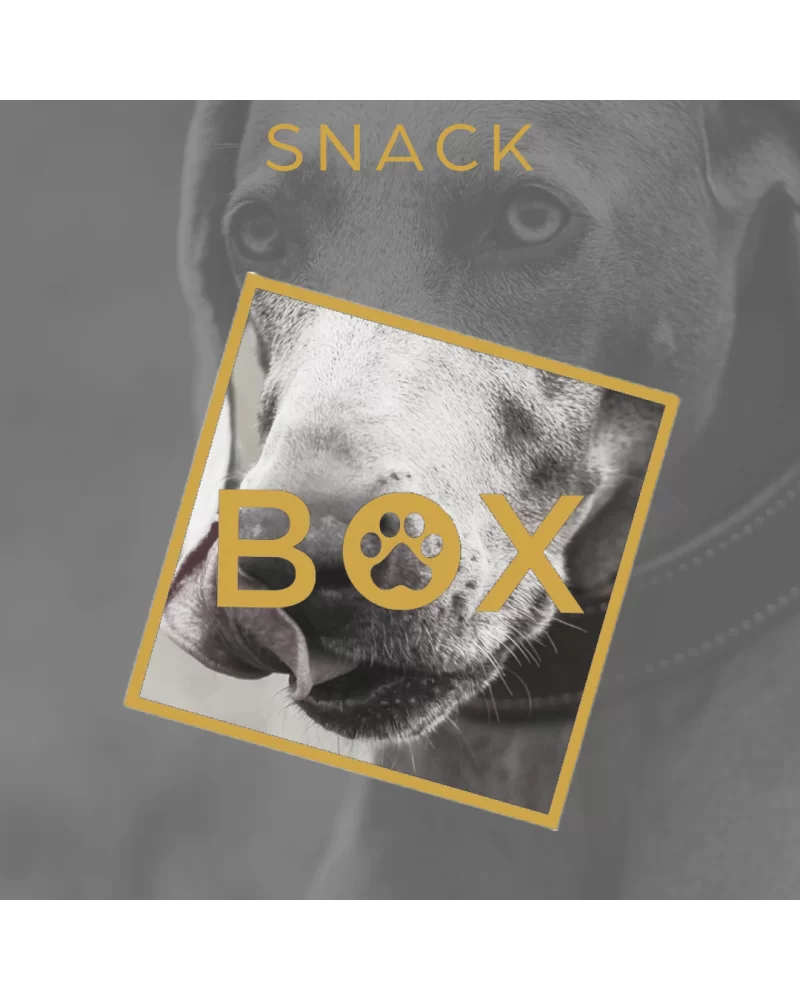 Snack Box