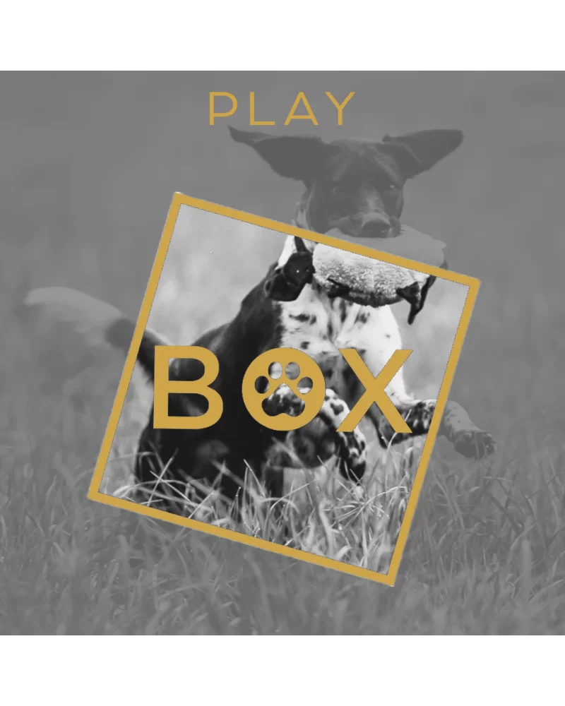 Play Woofbox